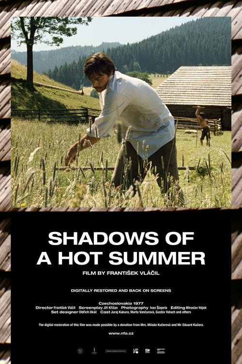 Shadows of a Hot Summer постер