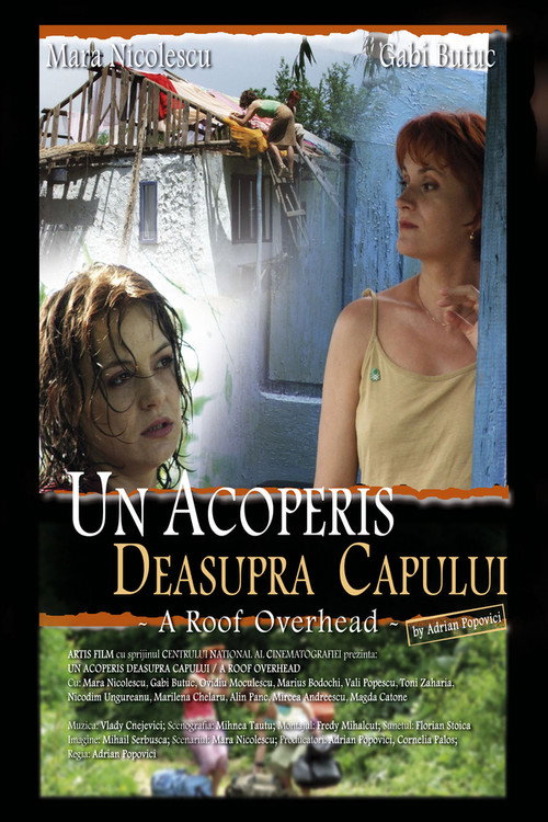 Un acoperiș deasupra capului постер
