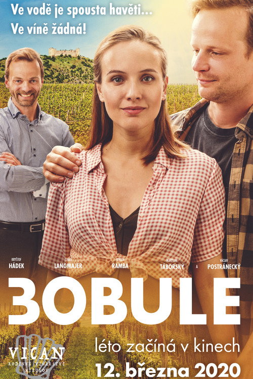 3Bobule постер
