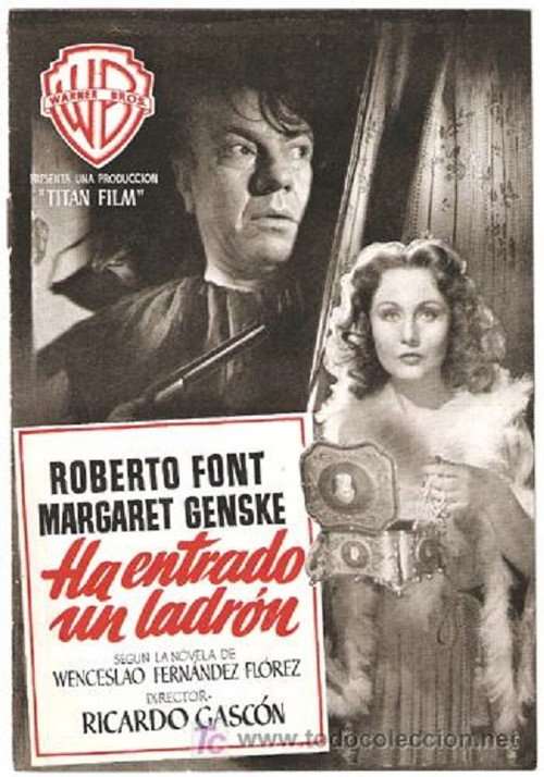 Ha entrado un ladrón постер