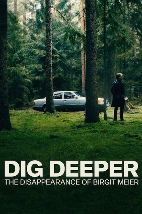 Dig Deeper: Das Verschwinden von Birgit Meier постер