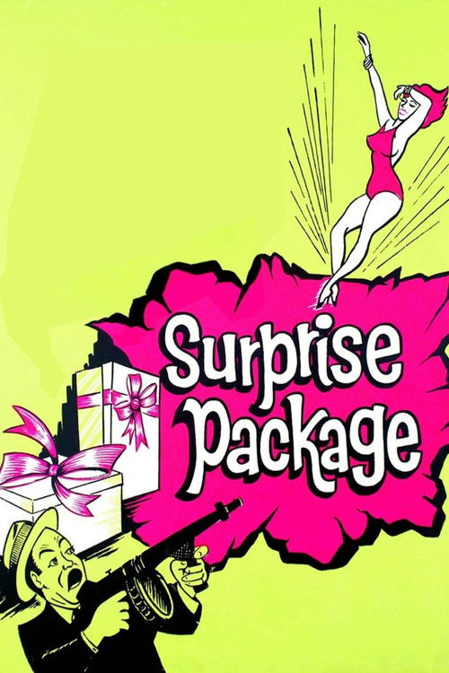 Surprise Package постер