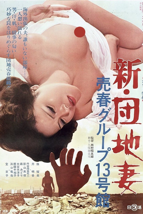 新･団地妻　売春グループ１３号館 постер