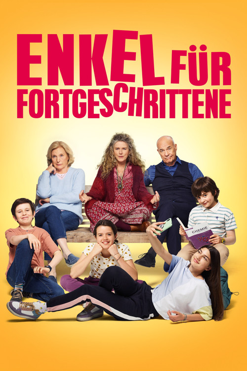 Enkel für Fortgeschrittene постер