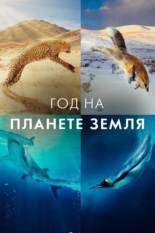 Год на планете Земля постер