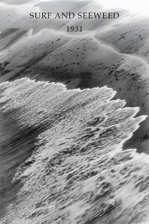 Surf and Seaweed постер