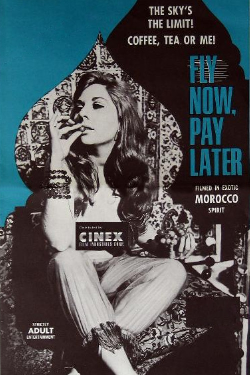 Fly Now, Pay Later постер