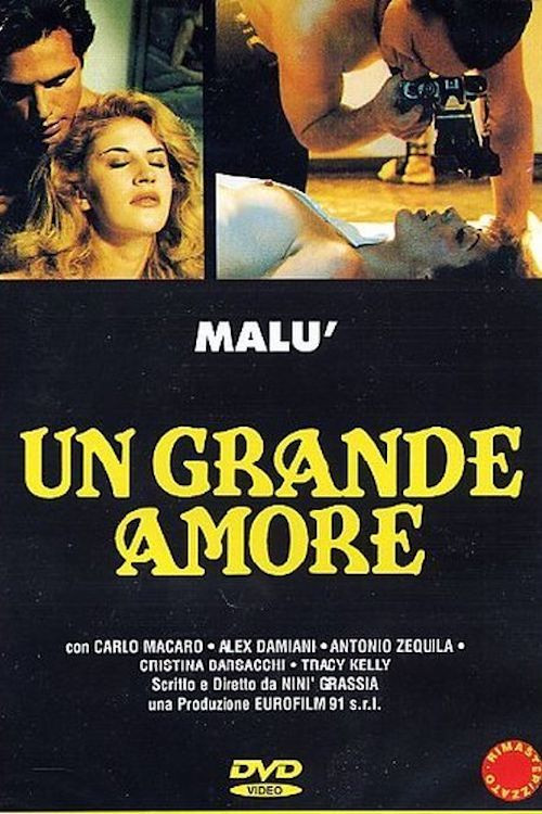 Un grande amore постер