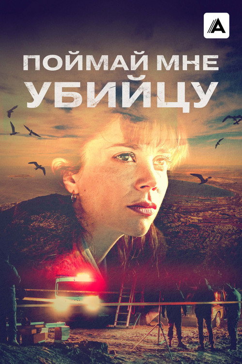 Поймай мне убийцу постер