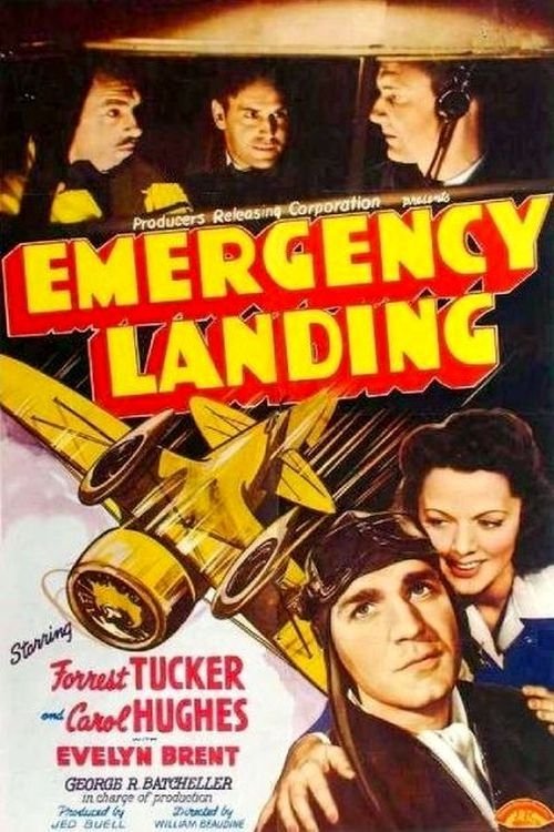 Emergency Landing постер