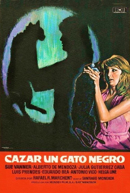 Cazar un gato negro постер