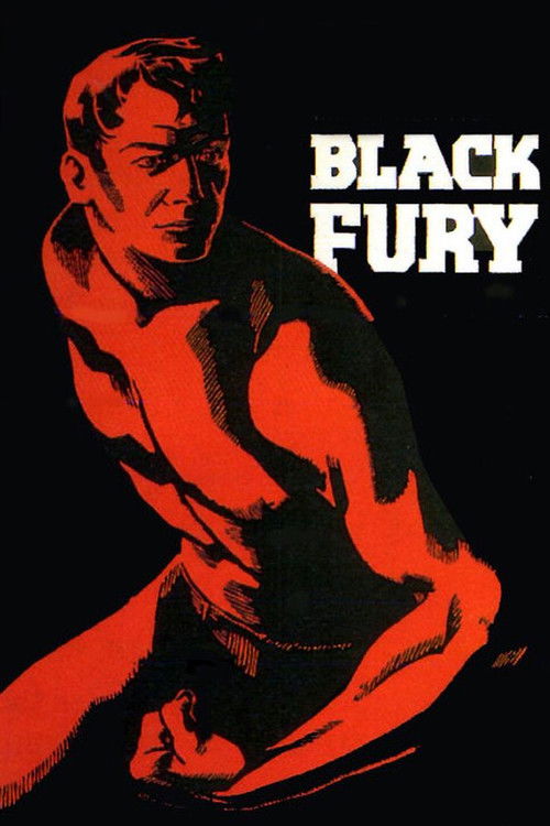 Black Fury постер