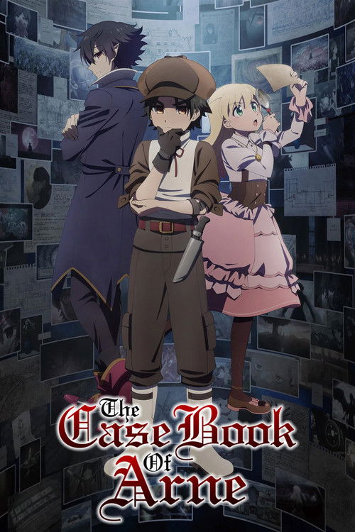 The Case Book of Arne постер