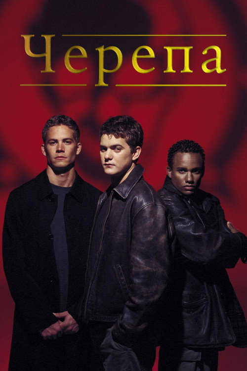 Черепа постер