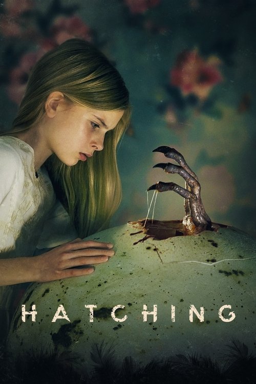Hatching постер