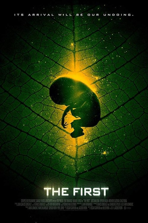 The First постер