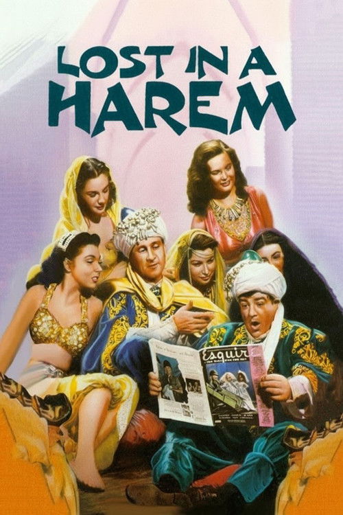Lost in a Harem постер