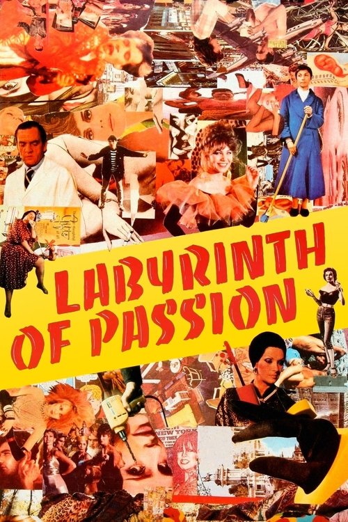 Labyrinth of Passion постер