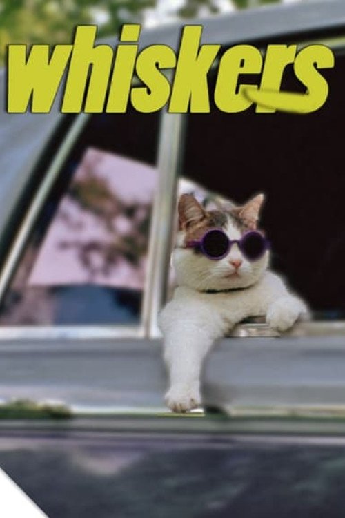 Whiskers постер