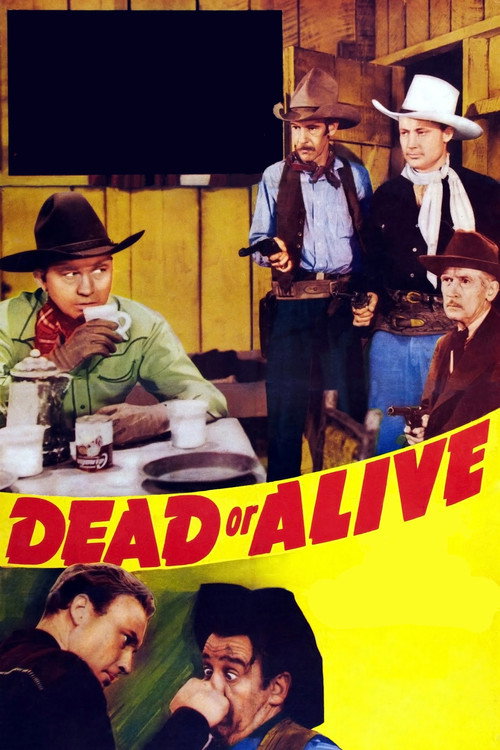 Dead or Alive постер