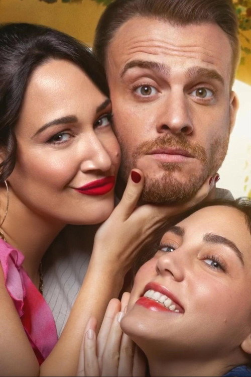 Platonic постер