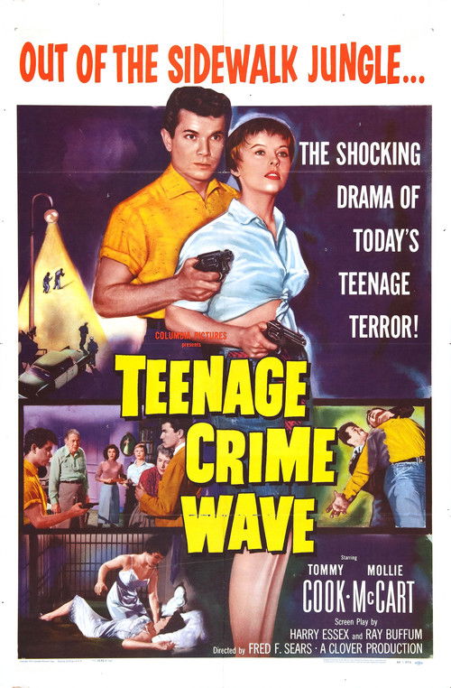 Teen-Age Crime Wave постер