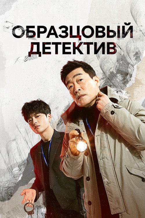 Образцовый детектив постер