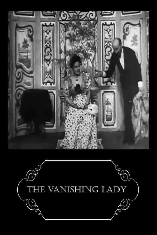 The Vanishing Lady постер