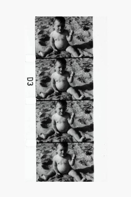 Fluxfilm No. 21 постер