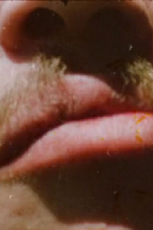 Invocations of Canyons and Boulders (for Stan Brakhage) постер