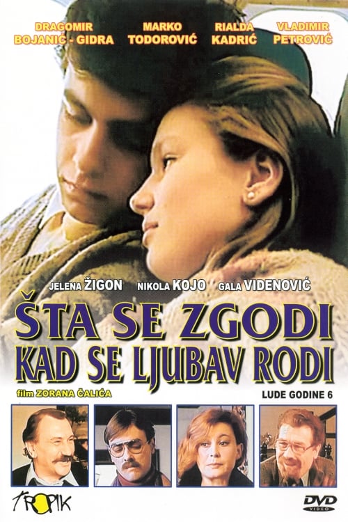 Šta se zgodi kad se ljubav rodi постер