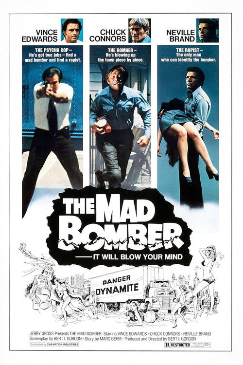 The Mad Bomber постер