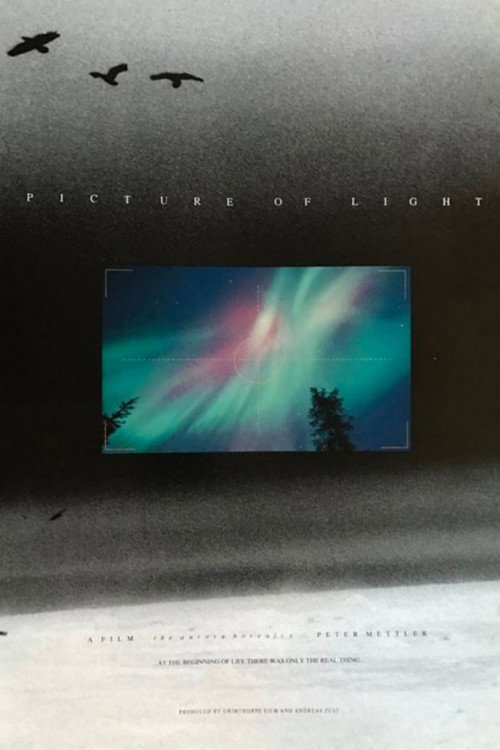 Picture of Light постер