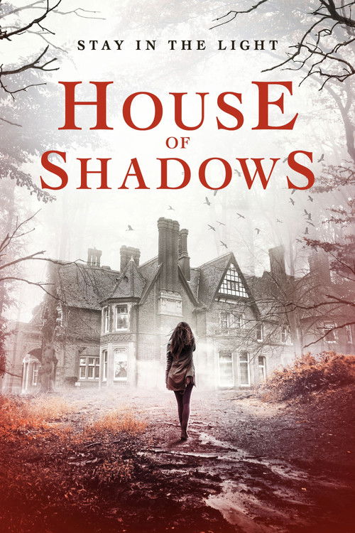 House of Shadows постер
