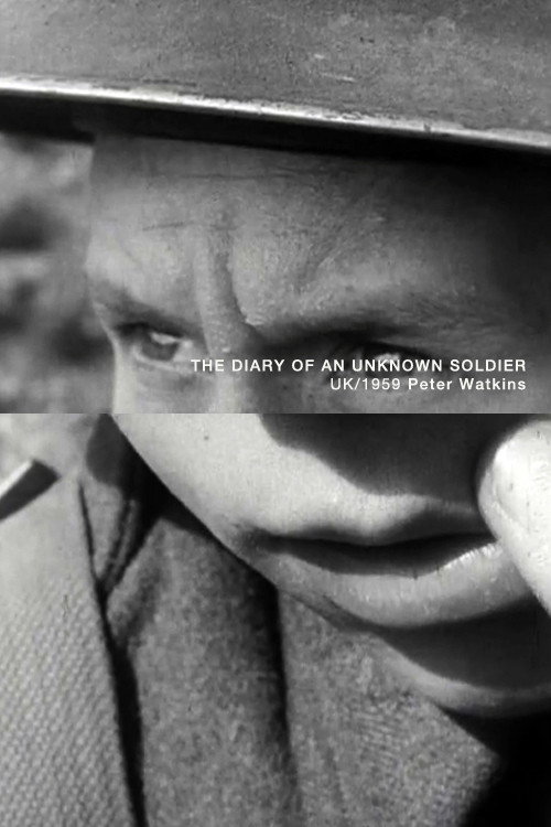 The Diary of an Unknown Soldier постер