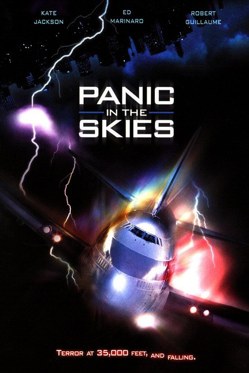Panic in the Skies! постер