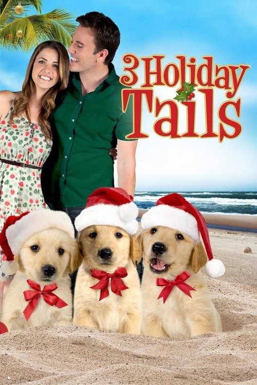 3 Holiday Tails постер