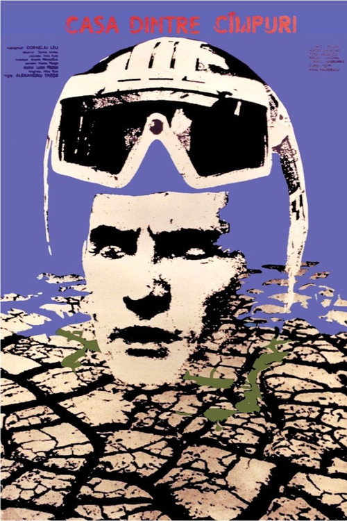 The House Between the Fields постер