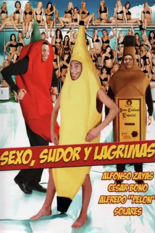 Sexo, sudor y lágrimas постер