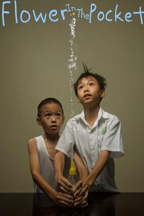 Flower in the Pocket постер