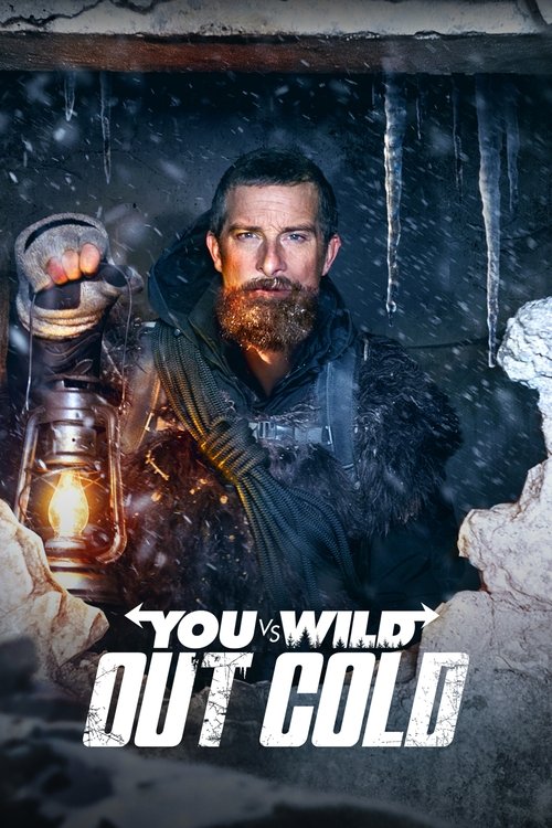 You vs. Wild: Out Cold постер