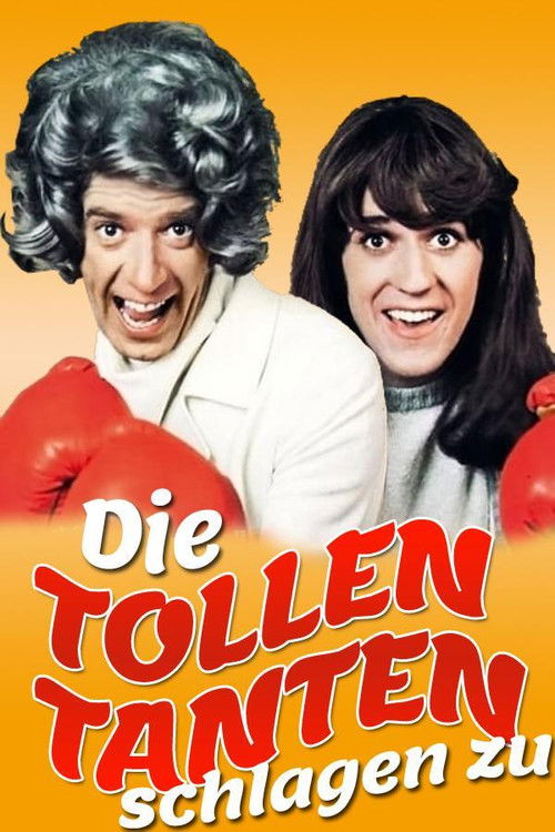 Die tollen Tanten schlagen zu постер