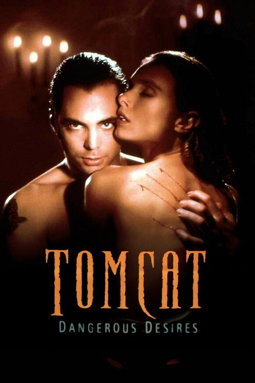 Tomcat: Dangerous Desires постер