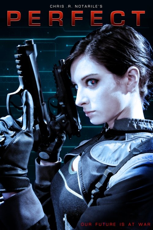 Perfect постер