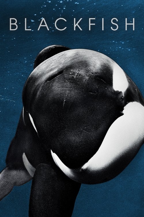 Blackfish постер