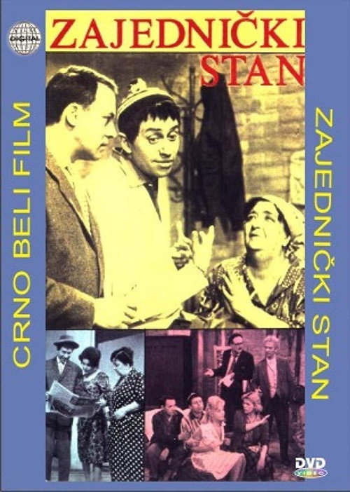 Shared Apartment постер