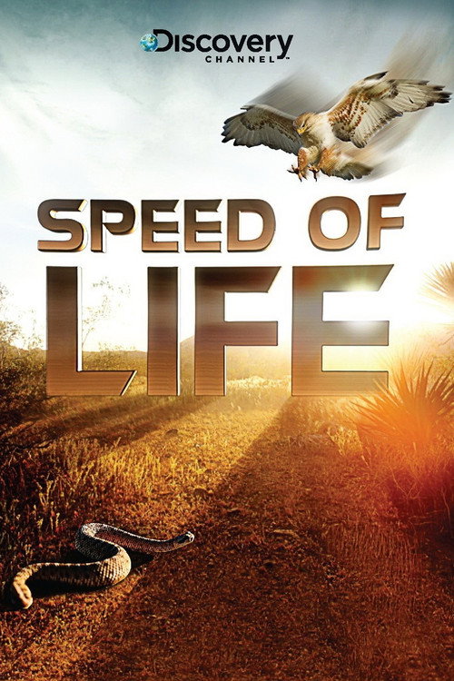 Speed of Life постер