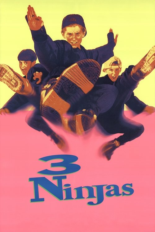 3 Ninjas постер