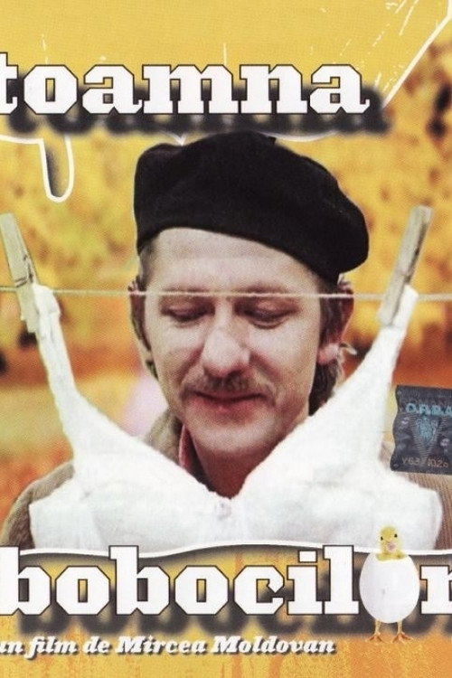 Toamna bobocilor постер