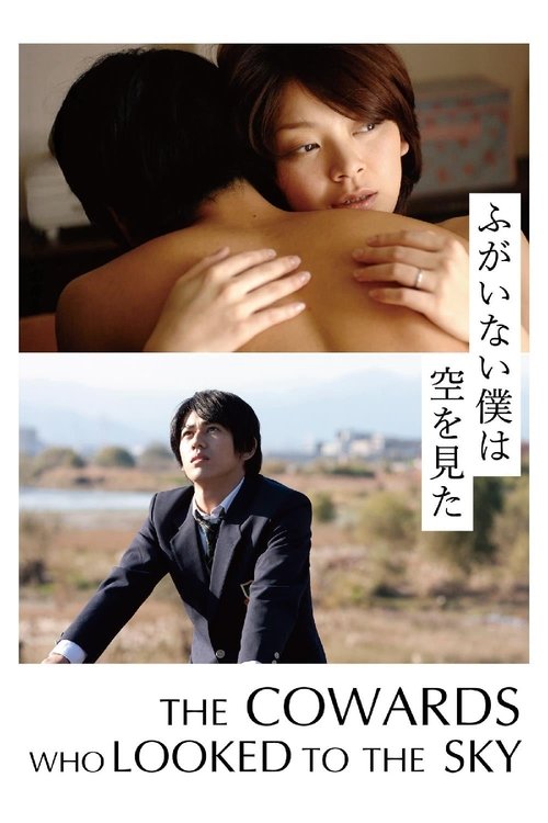 ふがいない僕は空を見た постер